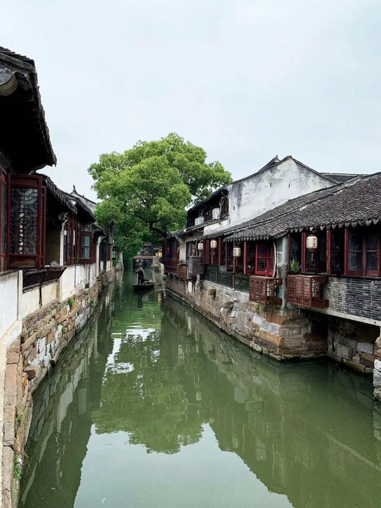 石莲的叶子能种植吗？游戏画面